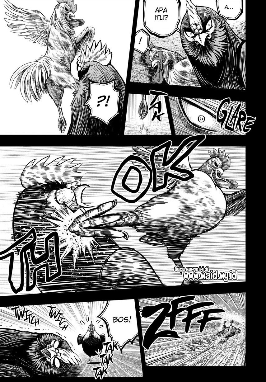 Rooster Fighter Chapter 11 Gambar 25